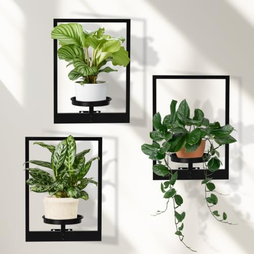 Floating Shelves Plant Stand Indoor Set of 3, Wall Planters to Hold Large Pots by STORENIZATION