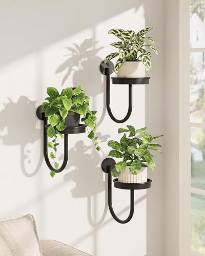 Bamworld Wall Plant Holder for Hanging Planters by Bamworld