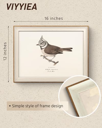 VIYYIEA Framed Vintage Crested Tit Bird Canvas Wall Art - Image 2