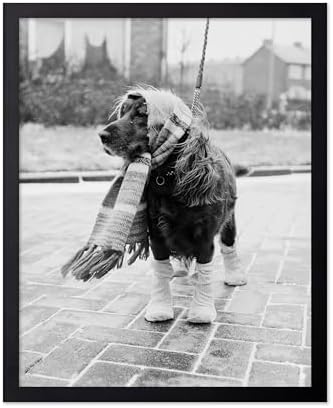 Poster Master Dog Dressed for Winter Print by PosterMaster