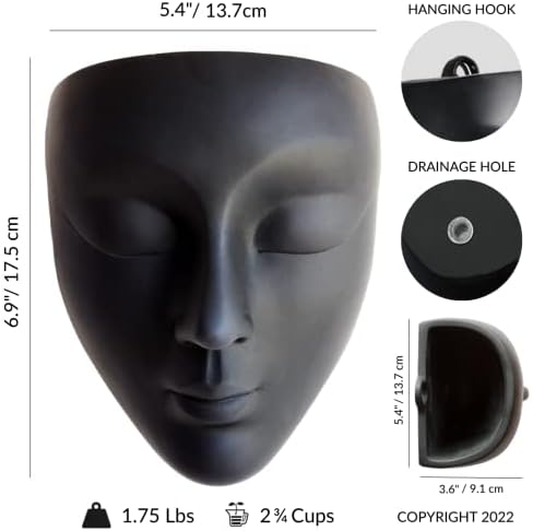 Face Planter, Wall-Mountable Vertical Planter - Image 3