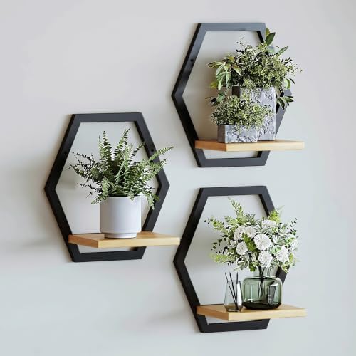3 Pack Hexagon Wall Plant Stands, 9 Inch Wood Shelf Black by HomecourtyardsInterio
