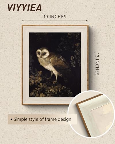 VIYYIEA Framed Vintage Owl Wall Art - Image 2