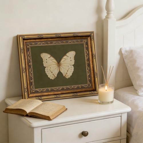 Vintage Gold Framed Wall Art Classical White Butterfly Wall Art Small Moody - Image 6