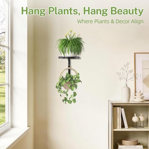 iDavosic.ly Plant Wall Hanger Holder - Image 6