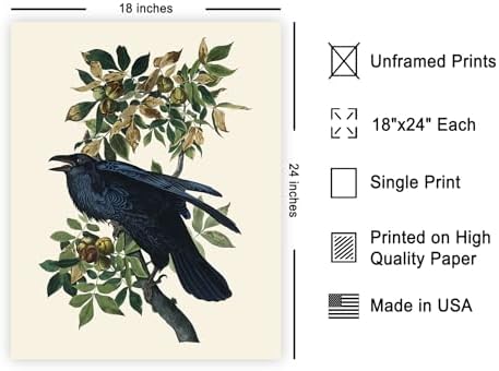 Poster Master Vintage John James Audubon Poster - Image 2
