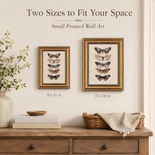 Gold Framed Wall Art, Vintage Moth Canvas Prints – Antique Moth & Butterfly - Image 5