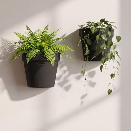 Asnext 2 Pack Indoor Wall Planter, 7.5 Inch Wall Hanging Planter - Image 2