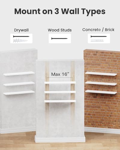Amada 23.6" Floating Shelves for Wall Decor & Storage - Image 7