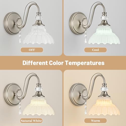 1 Piece Brushed Nickel Finish Wall Sconce, 1-Light Modern Wall Sconce - Image 4
