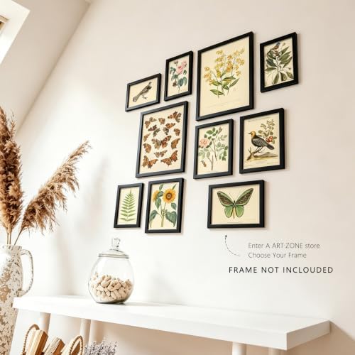 A ART·ZONE Vintage Botanical Butterfly Bird Prints Unframed 10Pcs Poster - Image 5