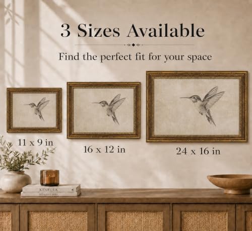 Gold Framed 3D Textured Wall Art, Vintage Sketch Hummingbird Canvas Prints - Image 5