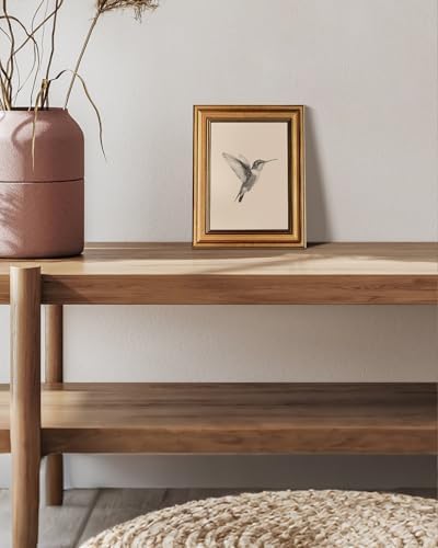 VIYYIEA Vintage Gold Framed Wall Art – Hummingbird Sketch, 8x10 IN - Image 5