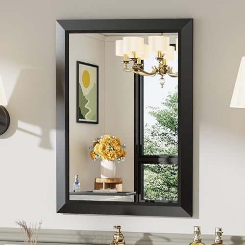 Briivue Black Metal Framed Bathroom Wall Mirror, 20x28 Inch by Briivuemodernmirrors