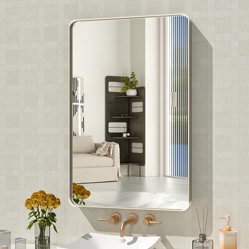 WEER Brushed Nickel Bathroom Vanity Mirror 20X30 Inch by WEER