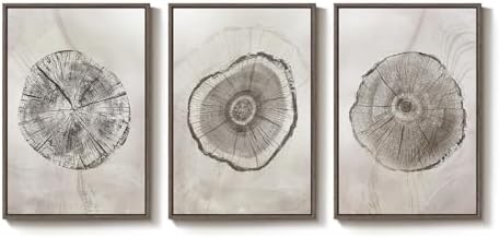 Large Framed Wabi Sabi Gray Tree Ring Wall Art - Image 7