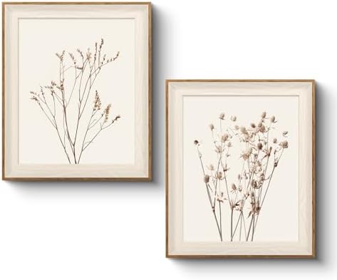 VIYYIEA Framed Dried Botanical Print Wall Art Set by VIYYIEAART