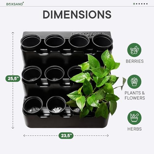 BOXSAND-12 Vertical Wall Planter – Living Wall - Image 2