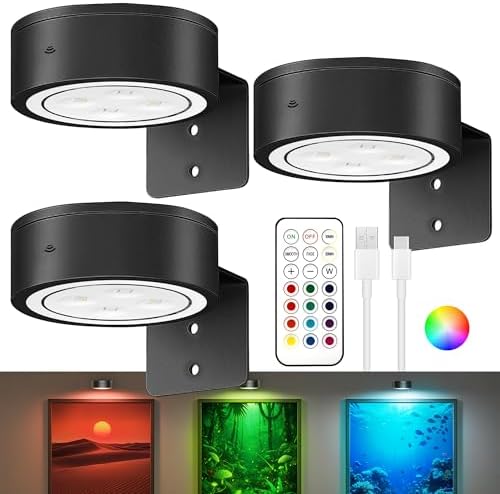Picture Lights for Wall, Rechargeable Battery Wireless Poster Lights by Kandicyar