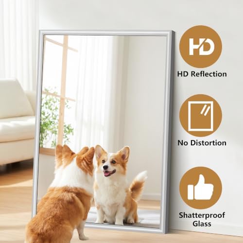 FORBATH Bathroom Mirror for Over Sink, 30x40 Inch Silver Vanity Mirror - Image 4