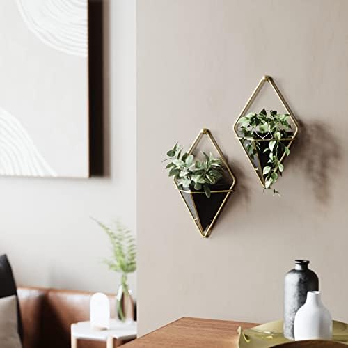 Umbra Trigg Hanging Planter for Small Plants - Image 2