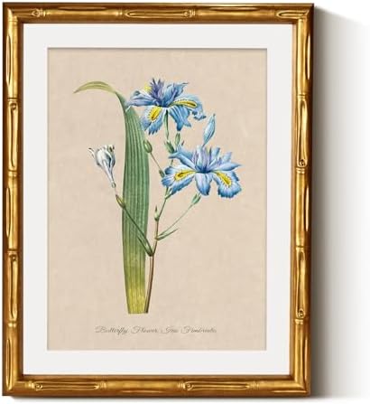 InSimSea Gold Bamboo Framed Wall Art by InSimSeaArt