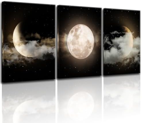 Yxbhhym Black and White Moon Wall Art Prints Modern Canvas Painting Lunar by CanvasWallArtHomeDecor