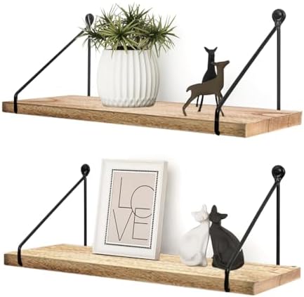 Hanging Wall Shelves by MOXLY