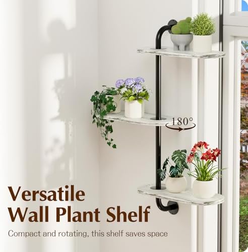 Rotating Window Plant Shelves 3-Tier, Wooden Window Shelf - Image 5