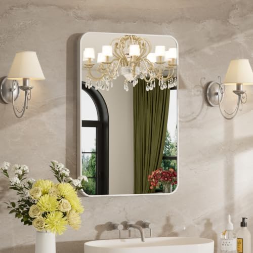 20"x30" Bathroom Mirror for Over Sink, Brushed Nickel Vanity Mirror by MZON