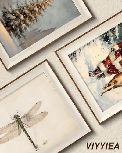 VIYYIEA Framed Dragonfly Canvas Wall Art Elegant Nature Decor - Image 6