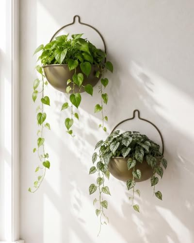 Bamworld 10.4 Inch Wall Planters by Bamworld