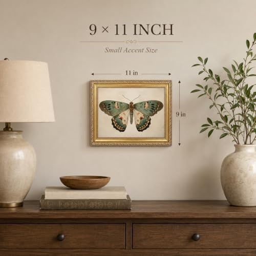 Vintage Butterfly Wall Art, 9x11 in - Image 2