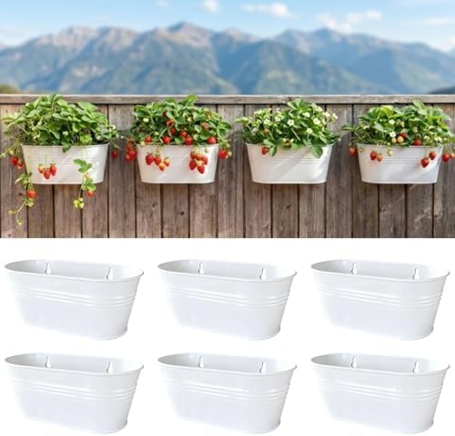 LaLaGreen Hanging Wall Planter White Metal Plant Shelf by L%C3%A1L%C3%A1Green