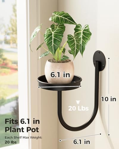 Bamworld Wall Plant Holder for Hanging Planters - Image 2