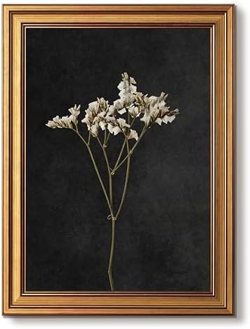 Vintage Gold Framed Wall Art, Retro Dark Dried Flower Paintings, Moody Floral by Unknown