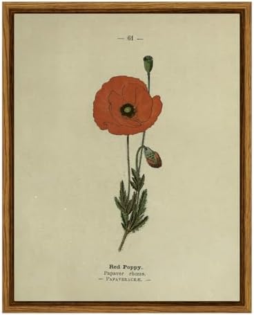 VIYYIEA Framed Wall Art Decor for Living Room, Flower Red Poppy, 8x10 Inch by VIYYIEAART
