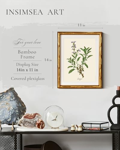 InSimSea Gold Bamboo Framed Wall Art, Vintage Sage Herbs Prints - Image 3