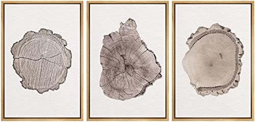 MUDECOR Framed Wall Art Print Set Brown Minimal Wood Ring Tree Closeup Nature by MUDECOR