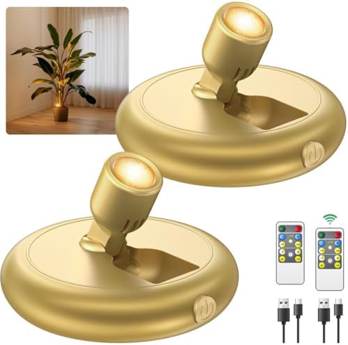 Rechargeable Battery LED Spotlight Indoor: Wireless Mini Art Accent Spot Lights by Unknown