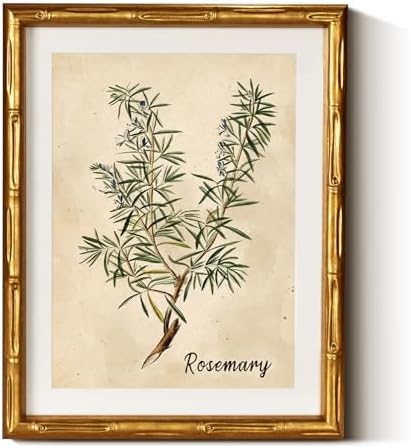 InSimSea Gold Bamboo Framed Wall Art, Retro Herbs Rosemary Prints by InSimSeaArt