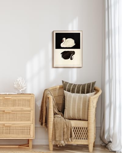 VIYYIEA Framed Vintage Swan Canvas Wall Art - Image 4
