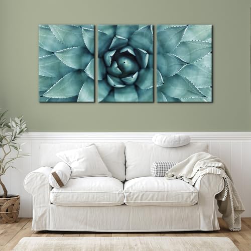 Pacimo 3 Pieces Canvas Wall Art Succulent Centre Pictures Prints Giclee Poster - Image 3
