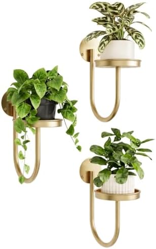 Bamworld Wall Plant Holder for Hanging Planters by Bamworld