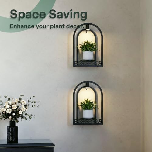 LED Grow Light Wall Hanging Planters - Image 2