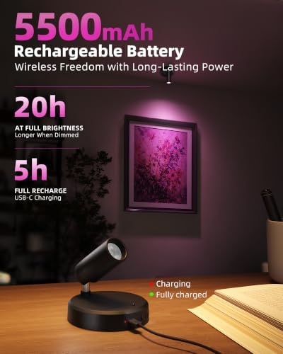 EZVALO RGB Indoor Spotlights, LED Accent Lights, Wall Decor Uplights. - Image 2