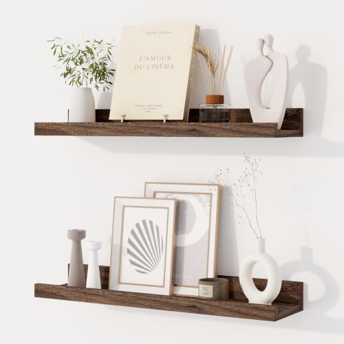Dreamland Picture Ledge Shelf for Wall, Floating Shelves Set of 2, 20 inch Long by Dreamland