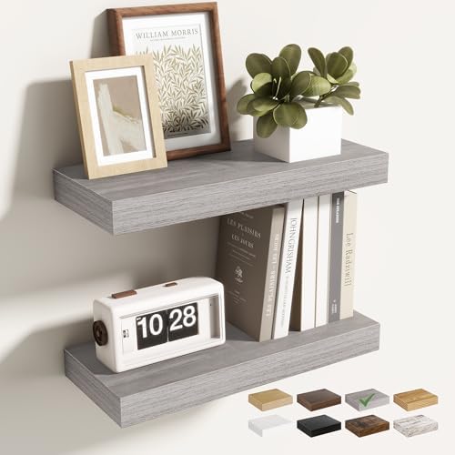 Acovy 16 Inch Floating Shelves for Wall 2 Pack, Wall Mounted Floating Shelf by Acovy