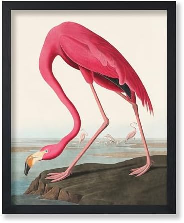 Poster Master Vintage American Flamingo Poster by PosterMaster
