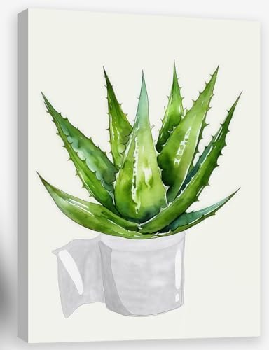 Framed Canvas Prints Funny toilet paper Botanical Aloe Vera Green Plant Wall by Unknown